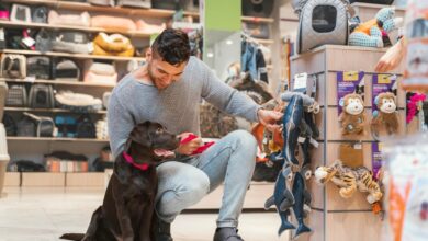 How to Choose the Right Pet Supply Store for Your Pet’s Everyday Needs