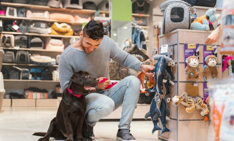 How to Choose the Right Pet Supply Store for Your Pet’s Everyday Needs