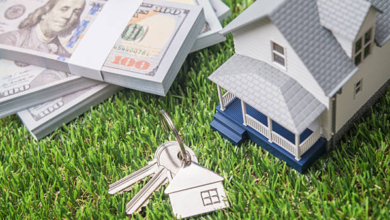 Understanding Reverse Mortgage Options for Australian Homeowners