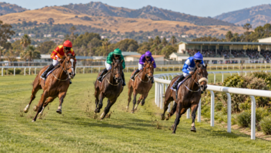 What The Finishing Order Leaves Out